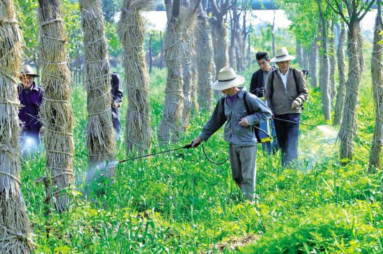 �aƷ���Ę��}