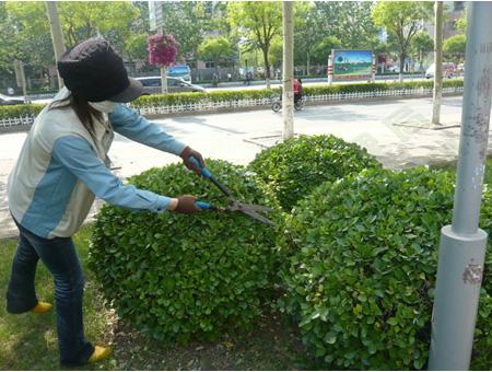 �aƷ���Ę��}