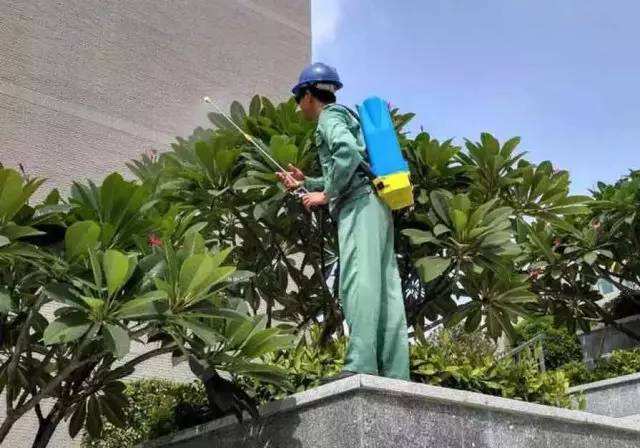 �aƷ���Ę��}