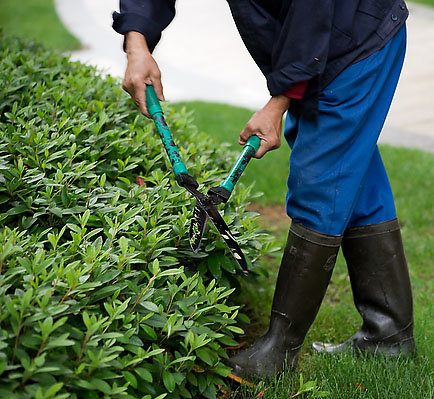 �aƷ���Ę��}