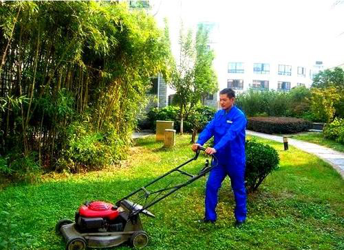 �aƷ���Ę��}