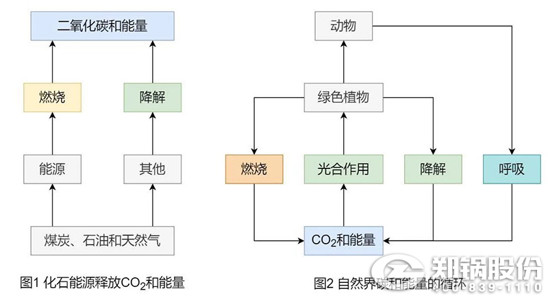 為什么說生物質(zhì)能是“零碳”能源1.jpg